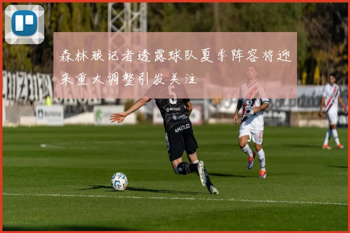 森林狼记者透露球队夏季阵容将迎来重大调整引发关注